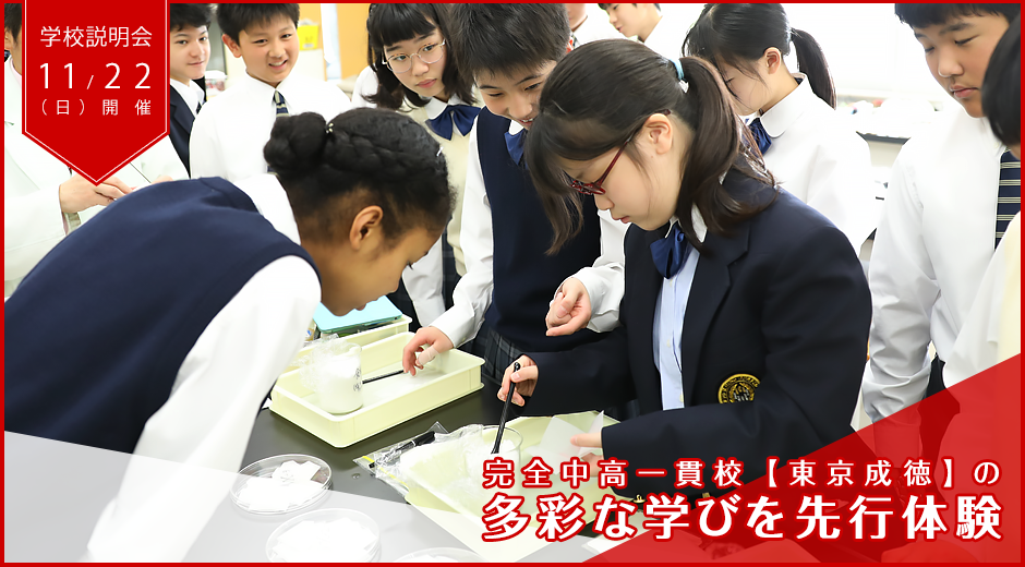 東京成徳大学中学 高等学校 東京都北区 男女共学の完全中高一貫校